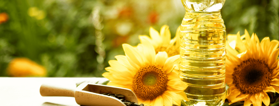 Sunflower Oils – Who is the first among the equals?