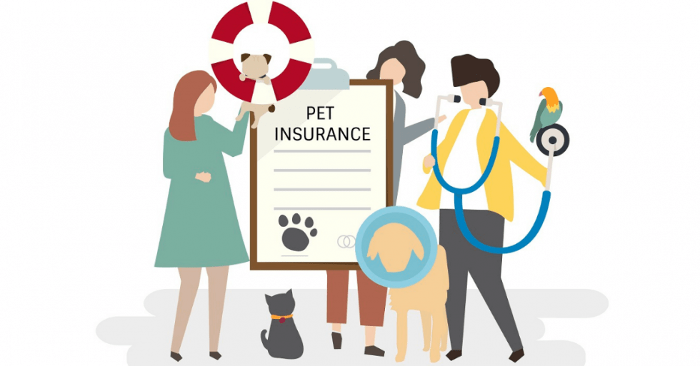 Benefits of Pet Insurance, Pet Insurance in India