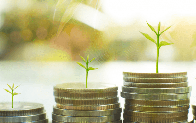 What are Liquid Mutual Funds?