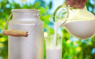 A2 Milk: Why you should know more about it?