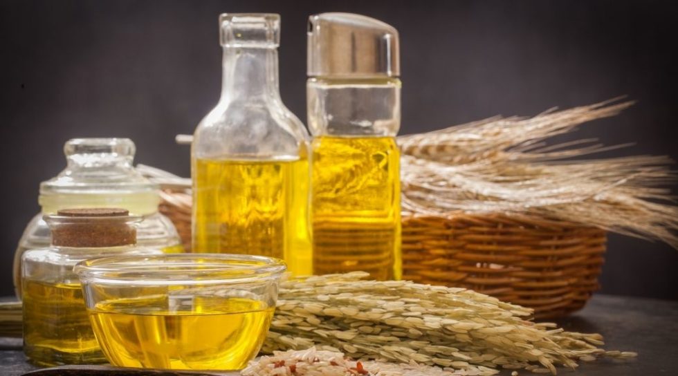 which is better rice bran oil or canola oil