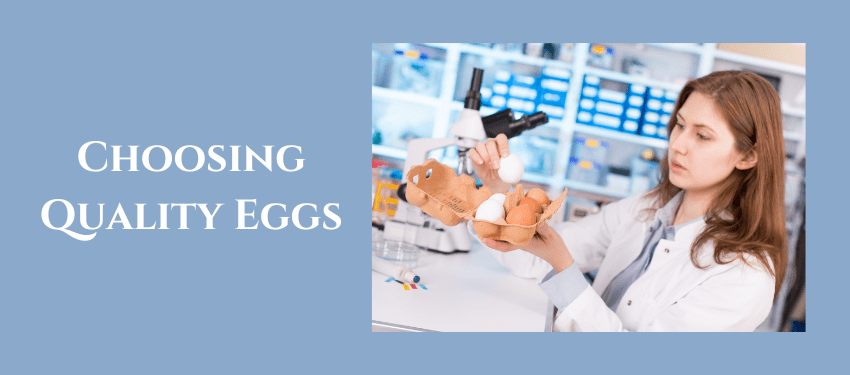 Choosing Quality Eggs