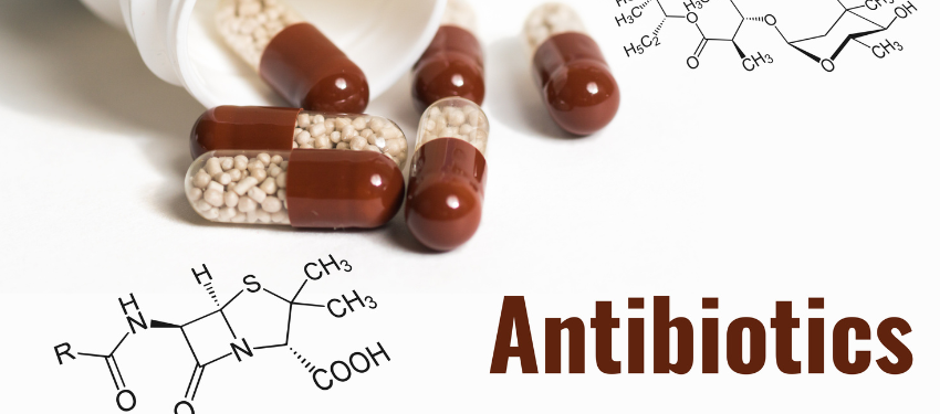 The Emerging Crisis of Antibiotic Resistance