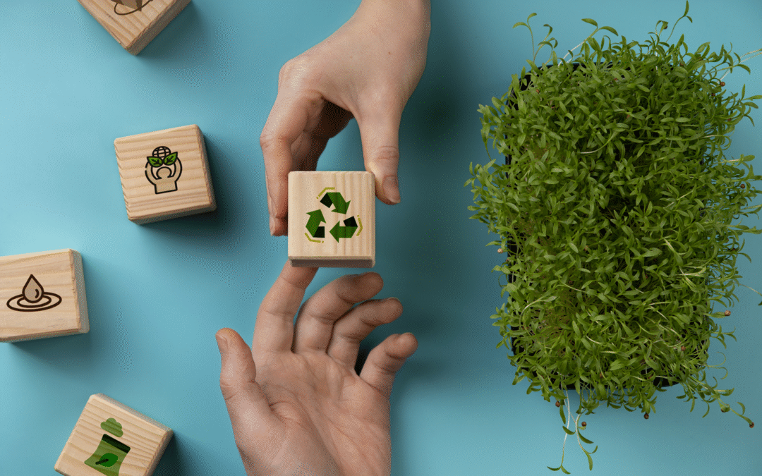 Greenwashing: How to Protect Consumers and Make Truly Green Choices