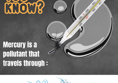 Mercury Pollution Through Air and Water