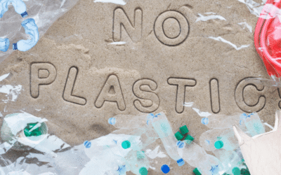 Plastic Straw Ban On: Fight against Pollution