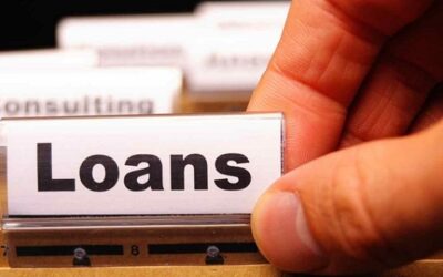 Loans
