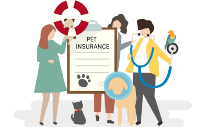 How to get the best insurance for your pets